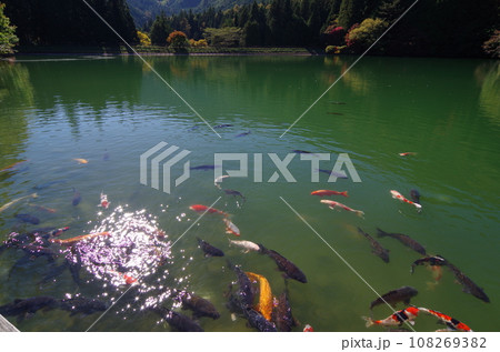 伊奈ヶ湖(南伊奈ヶ湖 山梨県 南アルプス市) 伊奈ヶ湖(南伊奈ヶ湖 山梨県 南アルプス市) 108269382