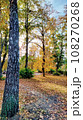 Autumn. Multicolored maple leaves lie on the grass. Colorful background image of fallen autumn leaves perfect for seasonal use 108270268