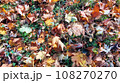 Autumn. Multicolored maple leaves lie on the grass. Colorful background image of fallen autumn leaves perfect for seasonal use 108270270