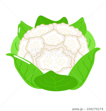 Cute funny Cauliflower character. Vector hand drawn cartoon kawaii character illustration icon. Isolated on white background. Happy Cauliflower character concept Cute funny Cauliflower character. Vector hand drawn cartoon kawaii character illustration icon. Isolated on white background. Happy Cauliflower character concept 108270274