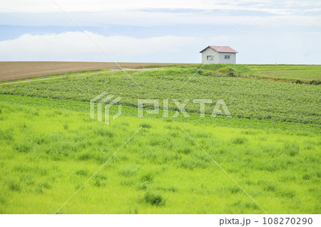 北海道 美瑛の丘(草原と小屋のある風景) 北海道 美瑛の丘(草原と小屋のある風景) 108270290
