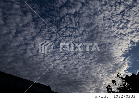 北杜市白州町、晩秋の空いっぱいに広がるうろこ雲 108270333