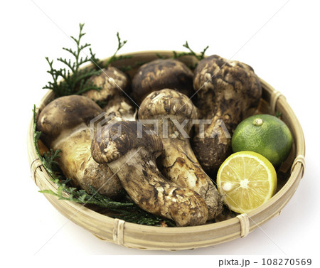 秋の味覚 高級食材の松茸 きのこ 和風イメージ まつたけ 白バック 秋の味覚 高級食材の松茸 きのこ 和風イメージ まつたけ 白バック 108270569