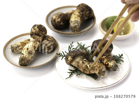 秋の味覚 高級食材の松茸 きのこ 和風イメージ まつたけ 白バック 秋の味覚 高級食材の松茸 きのこ 和風イメージ まつたけ 白バック 108270579
