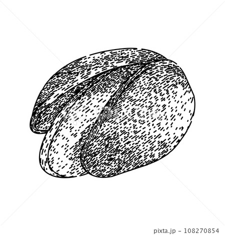 ingredient pistachio nut sketch hand drawn vector 108270854