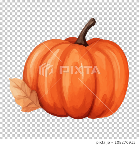 pumpkin isolated on white background pumpkin isolated on white background 108270913