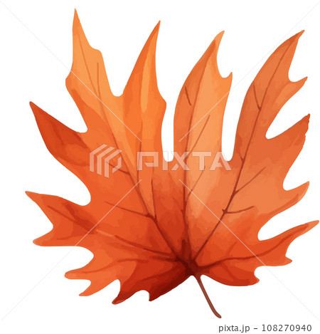 autumn maple leaf autumn maple leaf 108270940