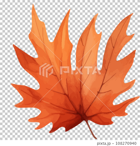 autumn maple leaf autumn maple leaf 108270940