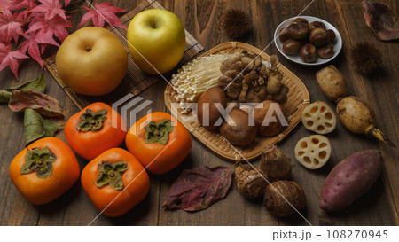 秋の食べ物｜野菜(さつまいも・里芋・蓮根)きのこ類(椎茸・えのき・舞茸)果物(梨・りんご・柿・栗) 108270945