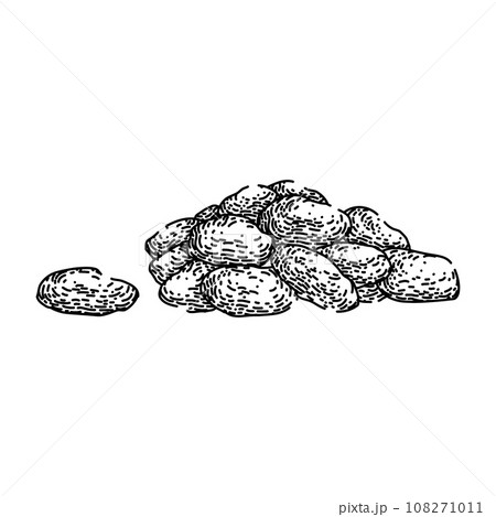 natural dried fruit sketch hand drawn vector 108271011
