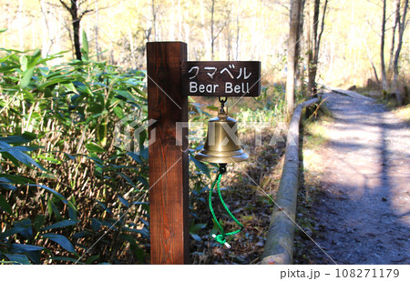 信州上高地の遊歩道のクマベル 信州上高地の遊歩道のクマベル 108271179