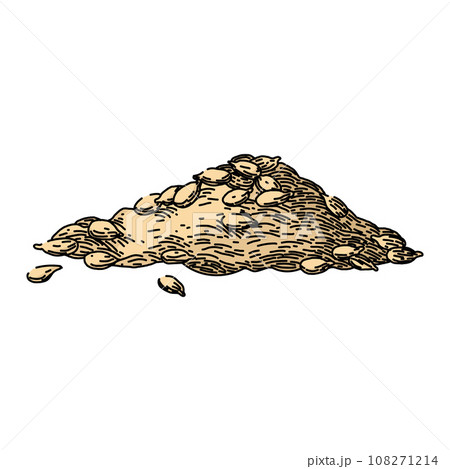 raw sunflower seed sketch hand drawn vector 108271214