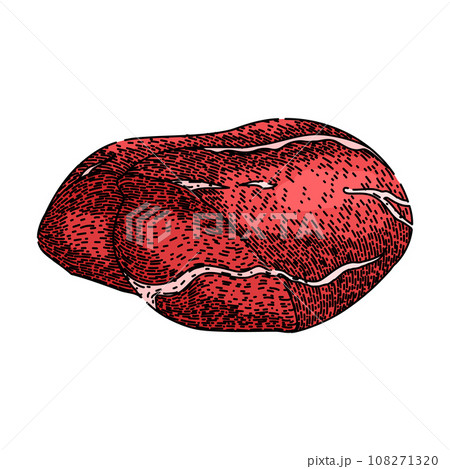 butcher meat sketch hand drawn vector 108271320