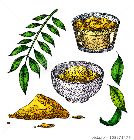 curry set sketch hand drawn vector curry set sketch hand drawn vector 108271477