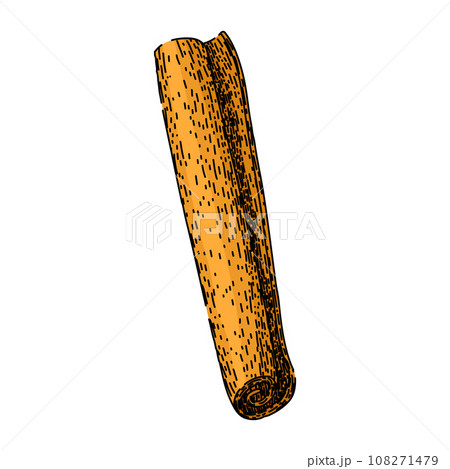 healthy cinnamon sketch hand drawn vector 108271479