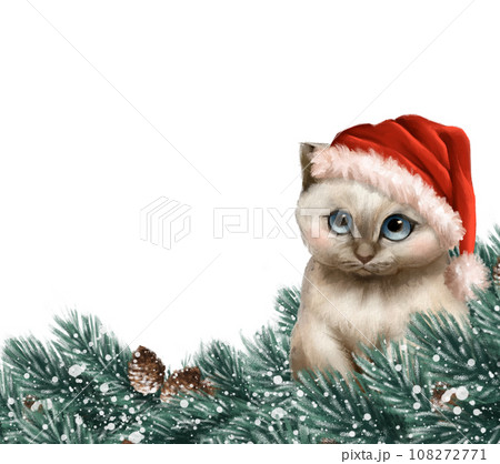 Cute kitten in Santa hat. Christmas illustration with fir branches and cat Cute kitten in Santa hat. Christmas illustration with fir branches and cat 108272771