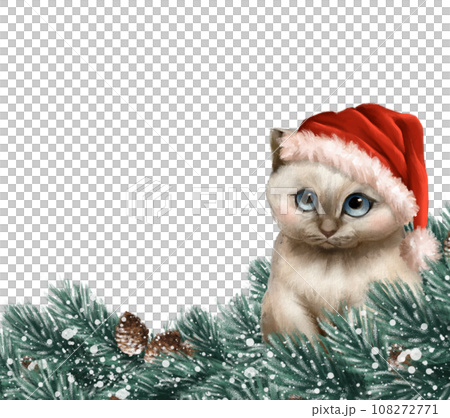 Cute kitten in Santa hat. Christmas illustration with fir branches and cat Cute kitten in Santa hat. Christmas illustration with fir branches and cat 108272771