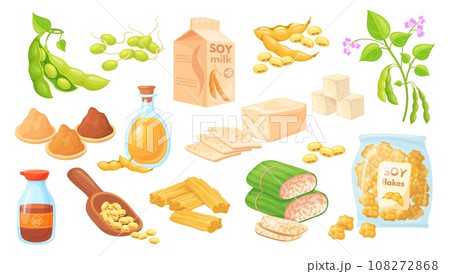 Cartoon soy food. Soybean cooking ingredients, tofu skin tempeh soya beans edamame sprout plant miso paste sauce milk protein nutrition, organic product neat vector illustration Cartoon soy food. Soybean cooking ingredients, tofu skin tempeh soya beans edamame sprout plant miso paste sauce milk protein nutrition, organic product neat vector illustration 108272868