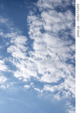 秋の空 青空 イメージ 【東京都】 秋の空 青空 イメージ 【東京都】 108273269