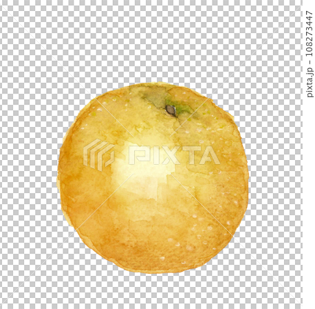 手描き水彩で描いた一つの梨のイラスト 白バック 透過背景 手描き水彩で描いた一つの梨のイラスト 白バック 透過背景 108273447