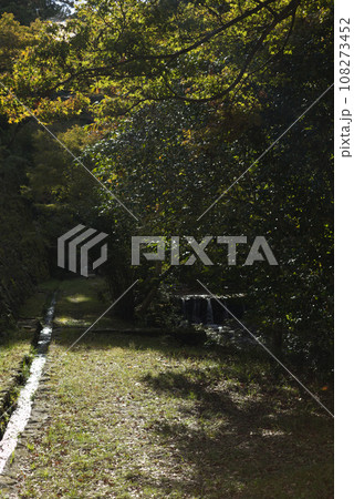 雲静かな松林 108273452