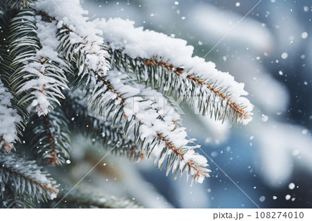 Fir tree branches covered with snow in winter forest. Christmas background Fir tree branches covered with snow in winter forest. Christmas background 108274010