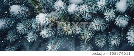 Fir branches covered with snow. Winter background. Christmas card. Fir branches covered with snow. Winter background. Christmas card. 108274011