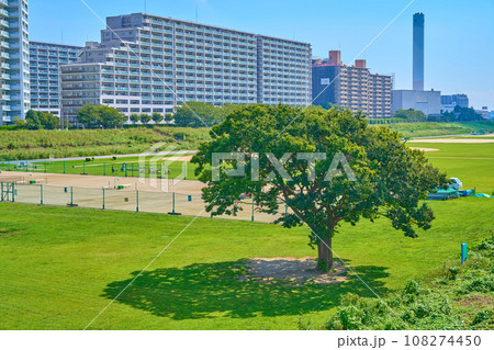 東京都大田区のガス橋から東方面(下丸子2丁目,多摩川ガス橋緑地公園など)を見る 東京都大田区のガス橋から東方面(下丸子2丁目,多摩川ガス橋緑地公園など)を見る 108274450