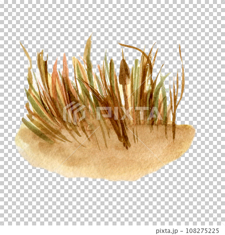 Field of wheat landscape watercolor illustration isolated on white background. Hand drawn grass. View of rye hand painted . Element for design package bread, trade, grocery store, bakery Field of wheat landscape watercolor illustration isolated on white background. Hand drawn grass. View of rye hand painted . Element for design package bread, trade, grocery store, bakery 108275225