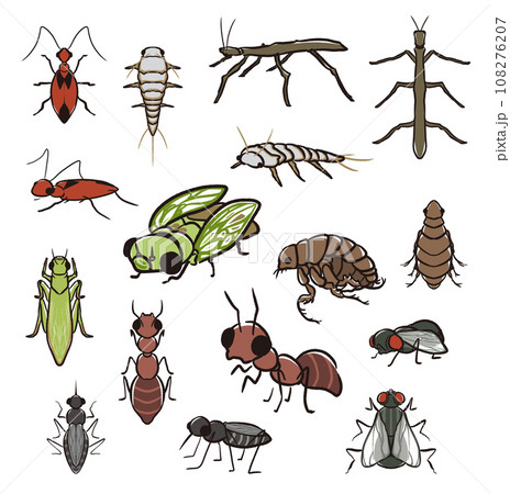 動物 動物学 アリ 108276207