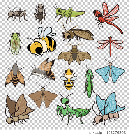 各種可愛的昆蟲、蝴蝶、蜜蜂等圖片。 108276208