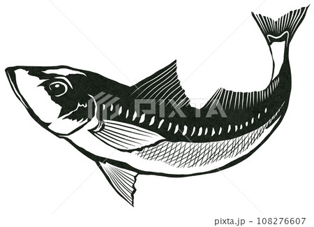 鱚のシンプル白黒イラスト 108276607