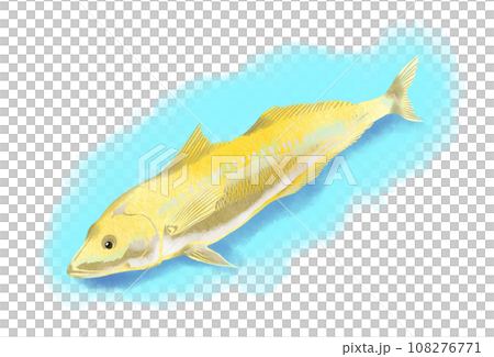 海底の砂地でくつろぐ鱚のイラスト 108276771