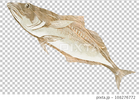 Paste-style illustration of a duck 108276772