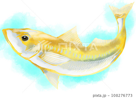 鱚の水彩画風イラスト 鱚の水彩画風イラスト 108276773