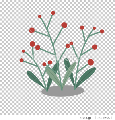Red wild berry Red wild berry 108276901