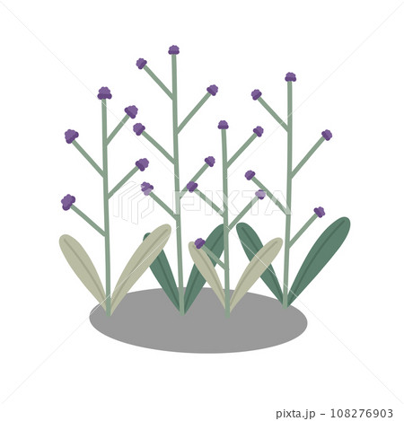 Red wild berry 108276903