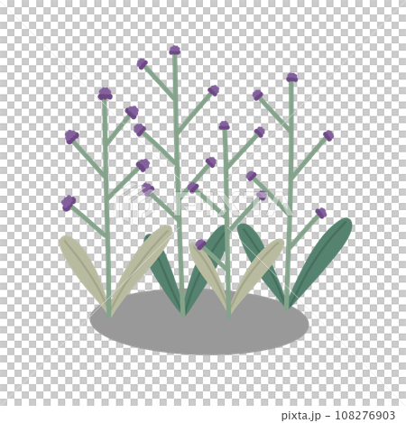 Red wild berry 108276903