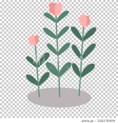 Red wild berry 108276904