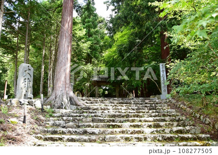 京都市右京区 常照皇寺の参道石段と山門 京都市右京区 常照皇寺の参道石段と山門 108277505
