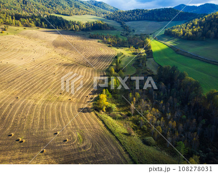 Aerial view of agricultural field with hay rolls surrounded by lush trees growing in woods under blue sky with clouds on sunny autumn day Aerial view of agricultural field with hay rolls surrounded by lush trees growing in woods under blue sky with clouds on sunny autumn day 108278031