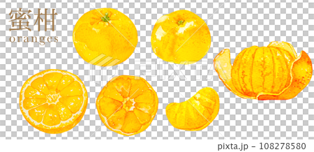 Autumn, seasonal fruits, mandarin oranges, autumn image materials Autumn, seasonal fruits, mandarin oranges, autumn image materials 108278580