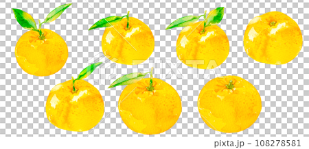 薩摩柑橘水彩插圖集 108278581