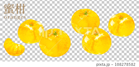 水彩風格可愛的橘子插圖 水彩風格可愛的橘子插圖 108278582