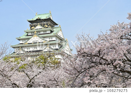 大阪城西の丸庭園から見える桜の風景 大阪城西の丸庭園から見える桜の風景 108279275