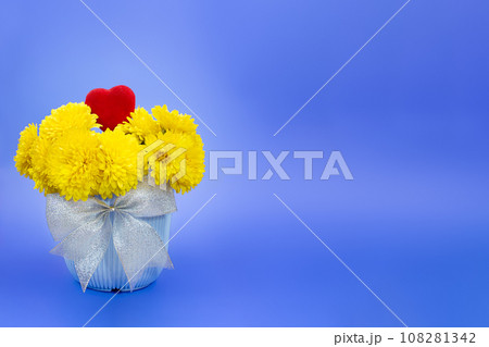 Yellow chrysanthemums in pot with bow and heart on blue background. Valentine's, International Women's Day, Birthday. Copy space Yellow chrysanthemums in pot with bow and heart on blue background. Valentine's, International Women's Day, Birthday. Copy space 108281342