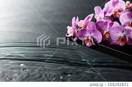 Beautiful purple orchid flowers on a blackboard. Beautiful purple orchid flowers on a blackboard. 108282621