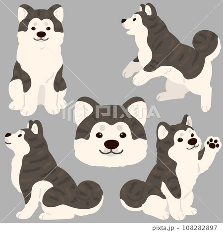 シンプルで可愛い虎毛の秋田犬のイラストセット　主線なし 108282897