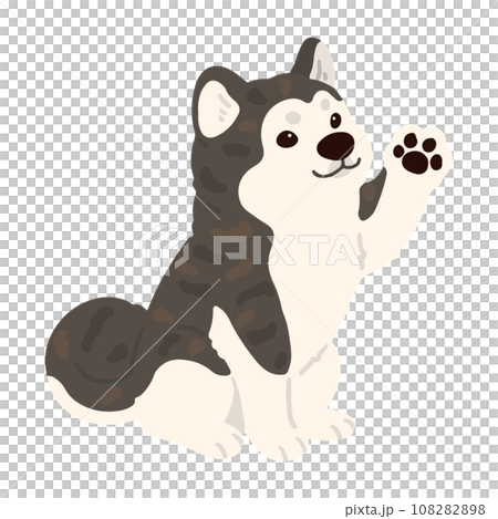 手を振るシンプルで可愛い虎毛の秋田犬のイラスト　主線なし 108282898