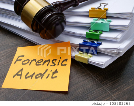 Lots of paper and forensic audit notes. Lots of paper and forensic audit notes. 108283262